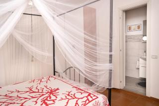 B&B Villa Dan - Rooms in Monopoli - Impalata - 7