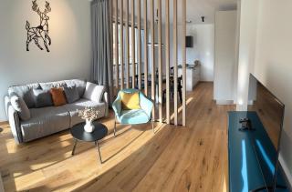 Soca Valley Suites - Bovec - 8
