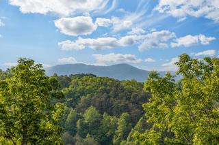 The Lodge at Smoky Escape - Sevierville - 4