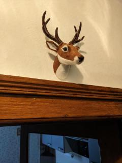 Wohnung zum Wohlfühlen in zentraler Lage - 8