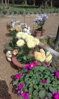 ARANYAK homestay - Shānti Niketan - 7