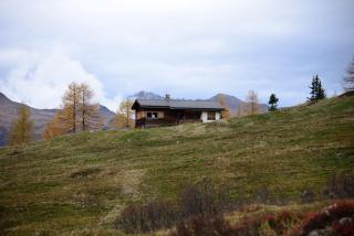 Zauberberg in voller Pracht - 6