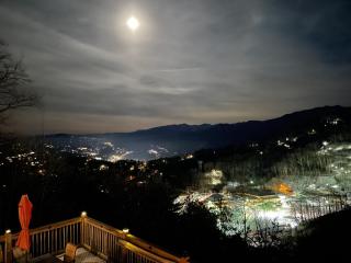 Bears on Skis - Gatlinburg - 4