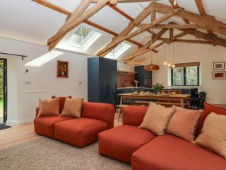 3 Caddaford Barns - Buckfastleigh - 5