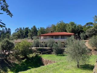 Casa do Olival - Tarouca - 0