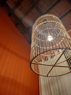 The Jungle House - 2