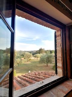 Agriturismo Carpineto - Asciano - 4