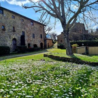 casa vacanze nel Chianti il Granaio - Castellina in Chianti - 5
