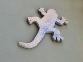 Casa Lagarto - El Paso - 0