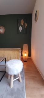 Appartement du Mouflon Vert, dans résidence de tourisme 3 étoiles - Lourdes - 4