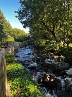 Old Mill Retreat, by River/Sea/Country Nr Barmouth Dogs - 3