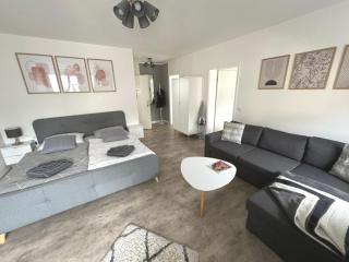 Stilvolle Ferienwohnung mit Stellplatz WLAN free Netflix Nähe Bahnhof - Zwickau - 9