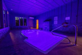 A Bear's Gatlinburg Plunge - 2