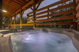 A Bear's Gatlinburg Splash - Gatlinburg - 9