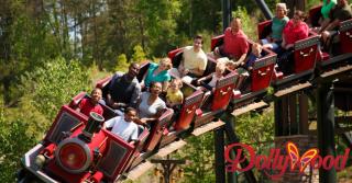 A Miracle in the Smokies - Sevierville - 8