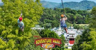 A Miracle in the Smokies - Sevierville - 1