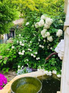 La plaine de l'Angelus - 7