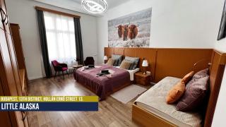Little Americas Alaska Apartment - Budapest - 4