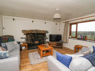 Blaenferwig - 7