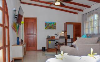 Hotel Amigo Nicaragua - Nindirí - 4
