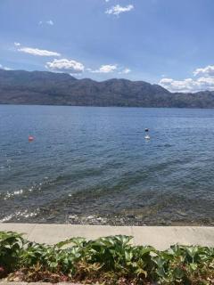 The Lakeside Cabin with wide outside space #105 - 4