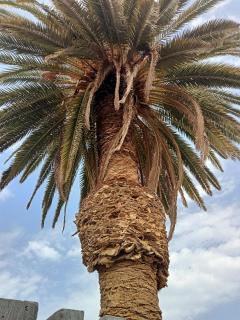 Village Naturiste Cap d'Agde Le Vip - 9