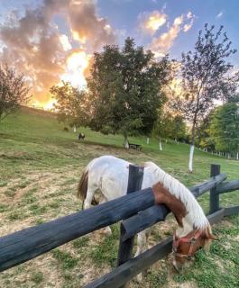 Fruškogorska Lugarnica - 6