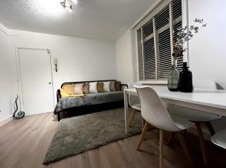 Great 1 bed flat London/Chiswick - 8
