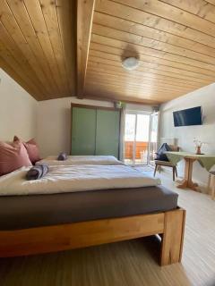 Alpenchalet Basecamp Apartment 2 - Sankt Martin am Tennengebirge - 6