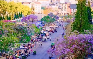 Tường Vy Dalat Central - 6