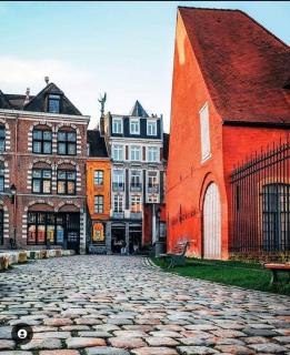 La Belle Treille by concierge city - Lille - 9