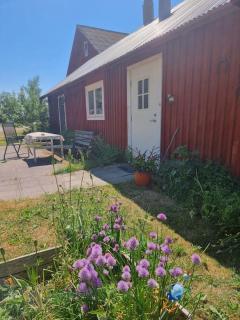 Bo på lantgård - 1