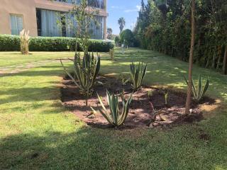 Tamaris Résidence les jardins Apparemment haut standing moderne et élégant 77 m - Casablanca - 3