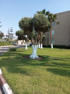 Tamaris Résidence les jardins Apparemment haut standing moderne et élégant 77 m - Casablanca - 4
