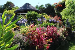 Villa Les Jacarandas - Les Avirons - 2