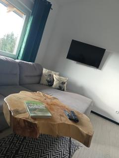 Agroturystyka "Apartament na wsi" Bory Tucholskie - - 1