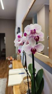 B&b ARCOBALENO - 2 min walk to Bernina Express - 3