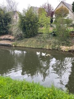 Le Petit Woerthel - Wolxheim - 3