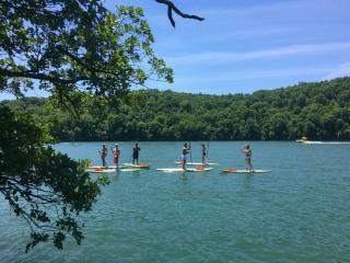 The Lakeview Retreat - Lake Access - Eureka Springs - 8