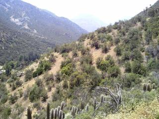 Refugio Atreyu - Santiago - 6