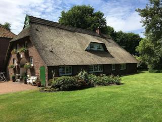 Idyllische Ferienwohnung in Wiefelstede - Wiefelstede - 0
