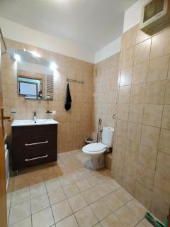 Lake view luxury Palace - Bucharest - 5