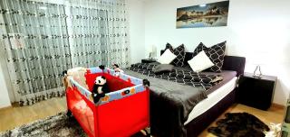 3-Zimmer- Wohnung in Traun, nähe Linz und Wels - Linz - 9