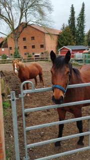 Wohnen auf dem Bauernhof - Laatzen - 2
