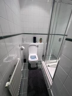 Luxury 3 bedroom, 3 bath apt by Oxford St & Soho - London - 8