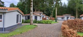 Boshof 8, parel op de Veluwe! - Ermelo - 4
