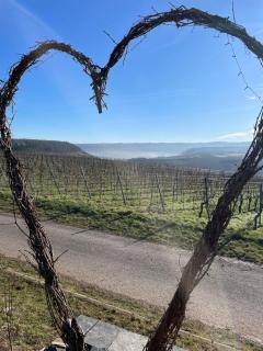 Neue Fewo mit Weinbergsblick - Urlaub im Wein- und Ferienort Bekond - Bekond - 6