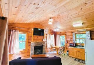 Pet-Friendly Cabin, In-Room Jacuzzi, King Bed, WiFi - Sevierville - 1
