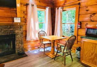 Pet-Friendly Cabin, In-Room Jacuzzi, King Bed, WiFi - Sevierville - 3