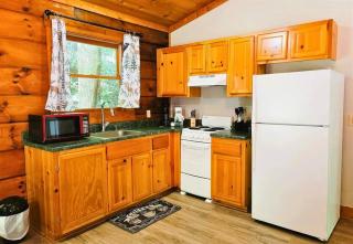 Pet-Friendly Cabin, In-Room Jacuzzi, King Bed, WiFi - Sevierville - 7